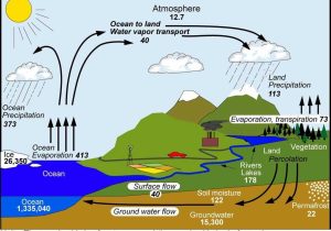 Water Carbon and Nitrogen Cycle Worksheet Along with Freshwater issues and Conflicts the Geographer Online