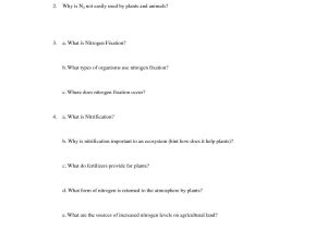 Water Carbon and Nitrogen Cycle Worksheet Answer Key or the Nitrogen Cycle Worksheet Answers Choice Image Worksheet for
