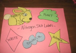 Water Carbon and Nitrogen Cycle Worksheet Answer Key together with Nitrogen Cycle Worksheet Answers Best the Nitrogen Cycle Using A