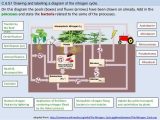 Water Carbon and Nitrogen Cycle Worksheet Answers Along with Water Carbon and Nitrogen Cycle Worksheet Answers Fresh Bioknowledgy