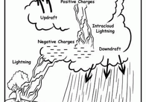 Water Carbon and Nitrogen Cycle Worksheet Color Sheet Along with Lightning Diagram