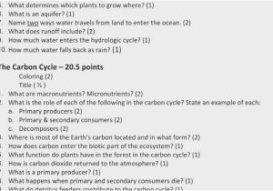 Water Carbon and Nitrogen Cycle Worksheet Color Sheet together with the Carbon Cycle Worksheet Answers Worksheet Math for Kids