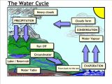 Water Efficient Landscape Worksheet or Joyplace Ampquot Syllable Patterns Worksheets Year 3 Maths Revisi