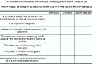 Water Potential and Osmosis Worksheet Answers or Diffusion and Osmosis Worksheet Key Worksheet Math for Kids