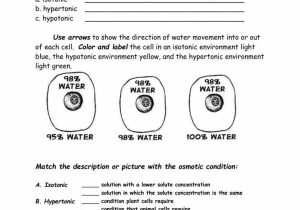 Water Potential and Osmosis Worksheet Answers or Lovely Cell organelles Worksheet Awesome Worksheet Templates Osmosis