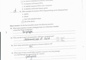 Wave Review Worksheet Answers and Good Chapter 14 the Human Genome Worksheet Answer Key – Sabaax