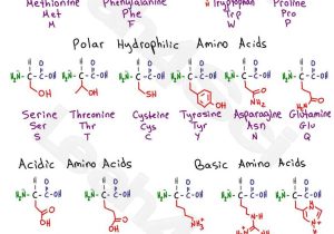 Wave Review Worksheet Answers as Well as Mcat Amino Acid Chart Study Guide Cheat Sheet for the Biology