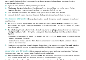 Wave Review Worksheet Answers or Fein the Anatomy the Human Digestive System Answer Key Bilder