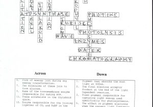 Wavelength Frequency and Energy Worksheet Answer Key together with Inspirational Synthesis Worksheet Answer Key Crossword Puzzle