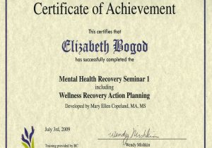Wellness Recovery Action Plan Worksheets Along with 20 Lovely Wellness Recovery Action Plan Examples