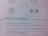 Worksheet 3.9 Mitosis Sequencing Answers Also Mitosis Worksheet Answers Choice Image Worksheet for Kids In English