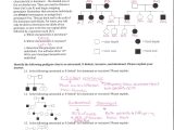 Worksheet Factoring Trinomials Answers Key as Well as Genetics Pedigree Worksheet the Best Worksheets Image Collection