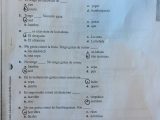 Worksheet Intro to Magnetism Answers with Thurgood Marshall Middle School