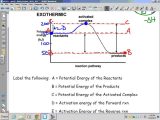 Worksheet Kinetic and Potential Energy Problems and Kinetics thermodynamics and Equilibrium Exothermic Potential