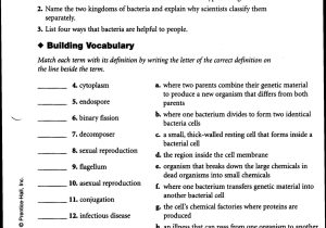 Worksheet Labeling Waves Answer Key or Free Middle School Science Worksheets 7rd Grade Free
