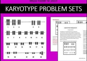 Worksheet Mutations Practice Also Genetic Disorders Mutations Karyotype Problem Sets Worksheets