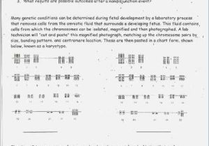 Worksheet Mutations Practice Answer Key Also Karyotype Worksheet Questions Kidz Activities