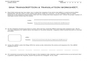 Worksheet Mutations Practice Answer Key and Transcription and Translation Worksheet Answers