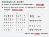 Worksheet Mutations Practice Answer Key as Well as Karyotype Worksheet Answer Key Kidz Activities