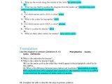 Worksheet On Dna Rna and Protein Synthesis Along with Unique Transcription and Translation Worksheet Answers New Rna and