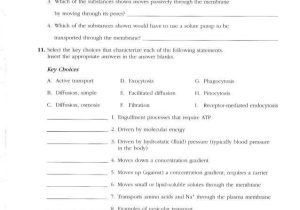 Worksheet On Dna Rna and Protein Synthesis Answer Key Quizlet Also Nett Anatomie Und Physiologie Kapitel 5 Study Guide Antworten Ideen
