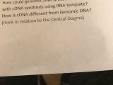 Worksheet On Dna Rna and Protein Synthesis Answer Key Quizlet and Biology Archive November 13 2017