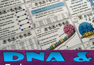 Worksheet On Dna Rna and Protein Synthesis Answer Key Quizlet and Unique Protein Synthesis Worksheet Elegant 71 Best Dna and Protein