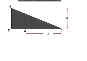 Worksheet Triangle Sum and Exterior Angle theorem Answers Along with area Of An Obtuse Angled Triangle
