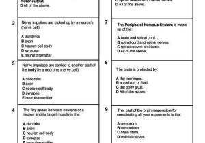 Worksheets Don T Grow Dendrites Pdf as Well as Groß Anatomy and Physiology Multiple Choice Test Bilder
